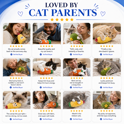 The 100% Organic Catnip Toy Cats Lose Their Minds Over